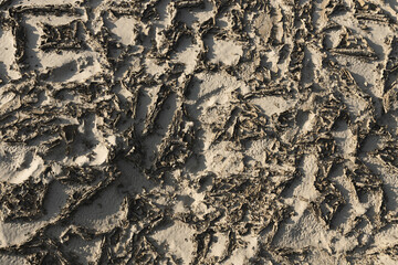 Water crisis. Crack soil. Global warming. Climate change and drought land. Nature disaster. Dry soil texture background. 