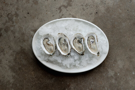 Oysters on a dark background