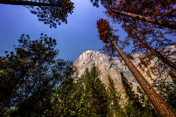 El Capitan, Yosemite national park