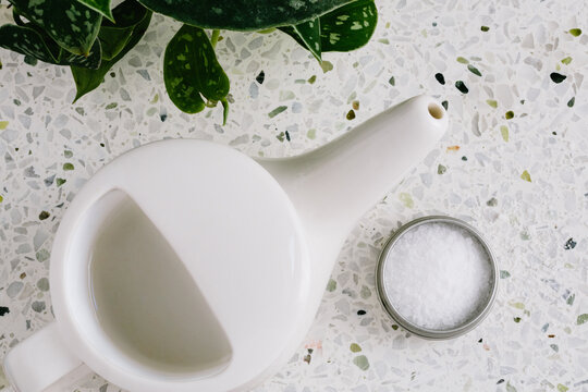 Neti Pot & Plant