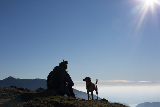 trekker girl sitting with dog on top of the mountain.