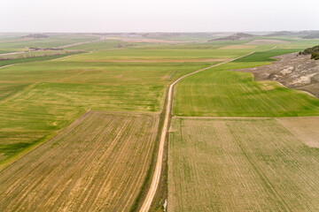 Rural track between cultivated cereal fields, drone view