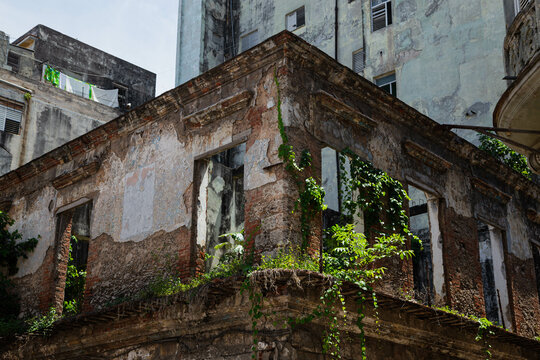 Corner of the ruins of a building with plants inside