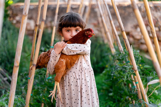 Little girl holding a hen in the orchard