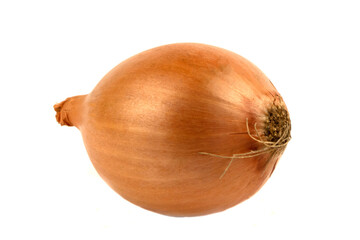 One whole onion isolated on white background