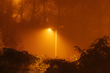 Lamppost in fog
