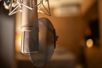 Vocal condenser studio microphone
