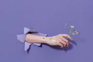 Hand with paper flowers  is thrust through a hole in the paper background