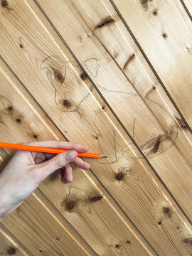 Drawing a dog on wooden board