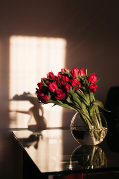 vase with tulips