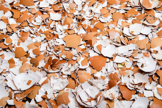 Broken Eggshells.