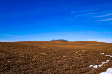 Spring landscape with empty fields and meadows for background. Agricultural industry