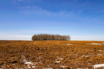 Spring landscape with empty fields and meadows for background. Agricultural industry
