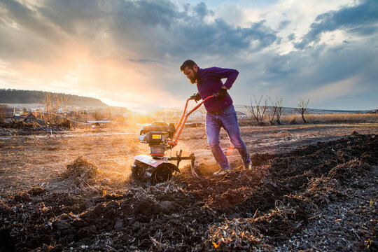 organic farming man cultivates the ground at sunset with a tiller  preparing the soil for sowing