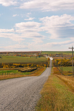 empty dirt road in prairie
