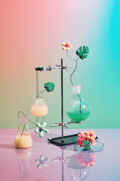natural beauty organic scientific equipment researched
