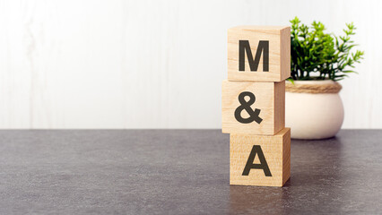letters of the alphabet of M and A on wooden cubes, green plant on a white background