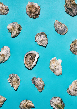 Overhead Shows Oyster With Pearl Inside