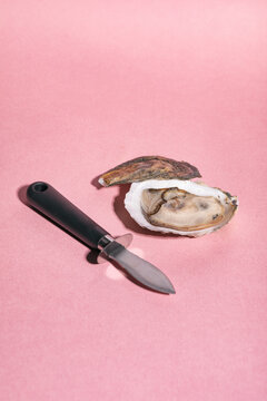 Oyster On Pink Background With Shucking Knife