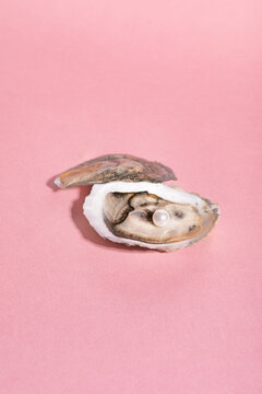 Oyster On Pink Background With Pearl