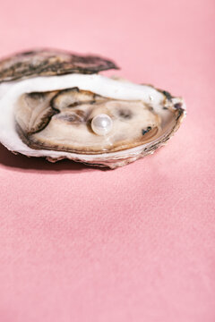 Oyster On Pink Background With Pearl