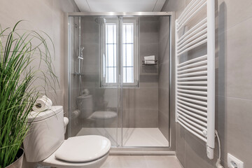 Tiled toilet with large gray tiles, plant on wooden stool and shower cabin with glass partition and...