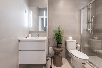 Tiled toilet with large gray tiles, plant on wooden stool and cabinet with white porcelain sink with frameless mirror, shower stall with glass partition and soap dish
