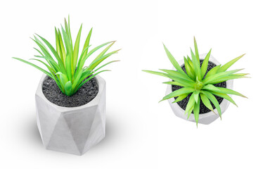 artificial plant in cement pot isolated on white background. fake flower design element cut out