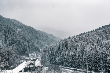 Fototapeta premium snow-capped mountains, snow, forest, сhristmas trees, winter skyline