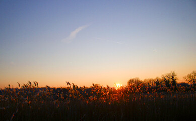 coucher de soleil devant un champ avec ciel dégagé.