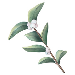 Hand drawn watercolor branch with snowberry and green leaves
