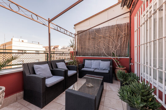 urban terrace of a residential penthouse with plants and wicker furniture with red walls and a gazebo, succulent plants, gray cushions and reed trellis