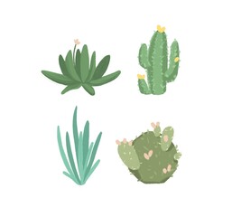 illustration depicting a set of cacti