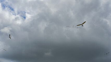 ULM flight/Vol en ULM