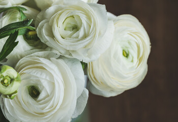 Beautiful white flowers on dark background close up, romantic wedding bouquet copy space.White ranunculus flowers.