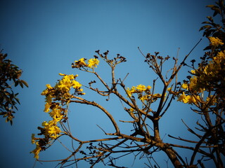 silhouette © Diego