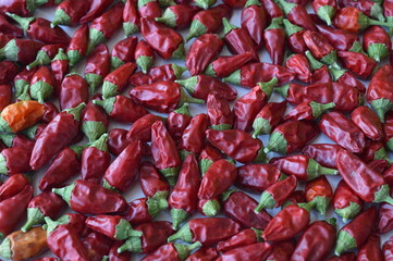 a bunch of little extremely hot red chili peppers