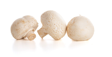 White button mushroom (Agaricus Bisporus)