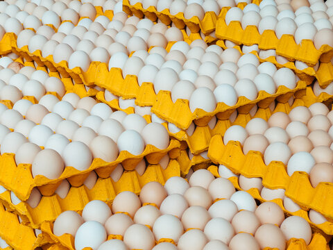 Stack Of Fresh Organic Eggs