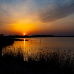 手賀沼の夕焼け