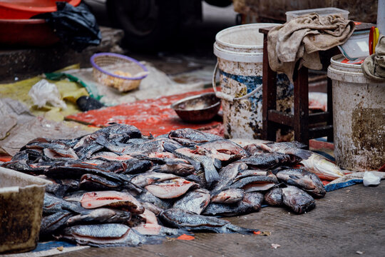 Fish For Sale At A Street Food Market In Anhui, China