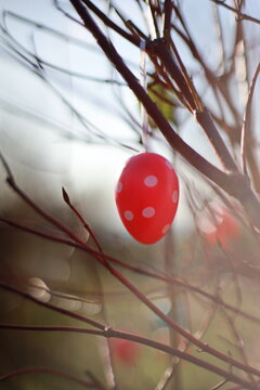 beautiful easter eggs on a tree branch outdoors