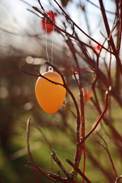 beautiful easter eggs on a tree branch outdoors