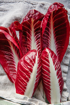 Radicchio