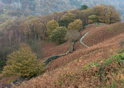 The path the Rydal Water. Lake District. Cumbria