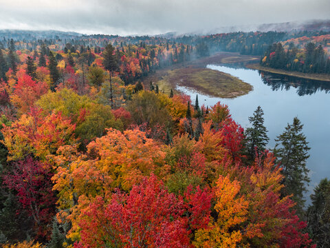 Autumn Northern Lake Landscape