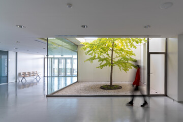 Unrecognizable person walking in corridor near tree