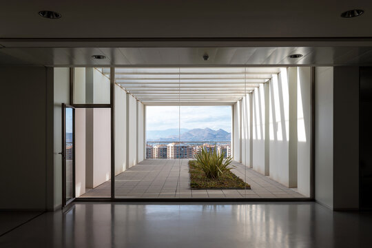 Corridor of contemporary building with grass decoration