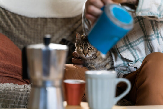 Hygge moment with coffee and cat at home