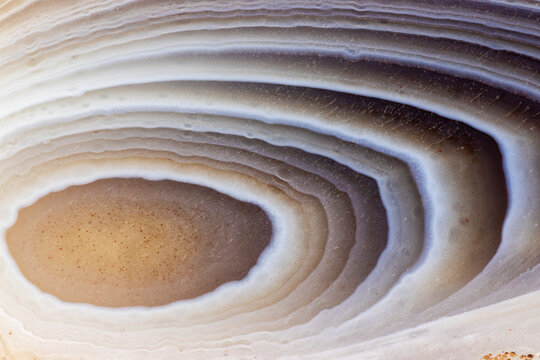 Botswana Agate, Macro  